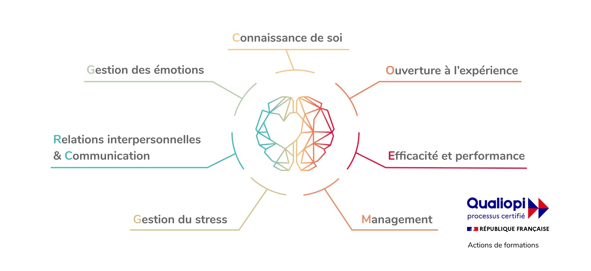 Catalogue des Formations MySkillz Catalogue des Formations MySkillz